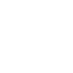 IATA Logo
